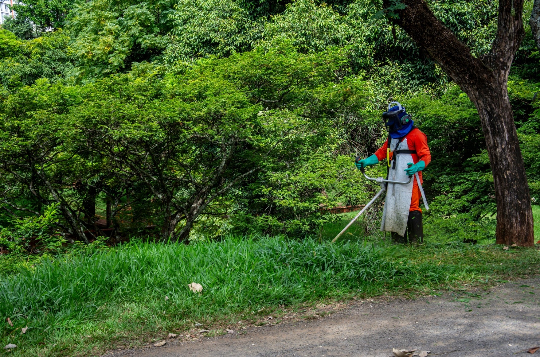 Lawn Mowing Safety Guide: Avoiding Common Mistakes 🌱🔧