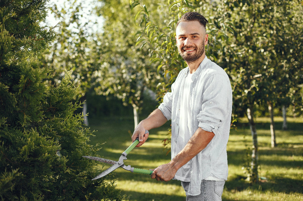 Why Fall is the Best Time to Trim Your Lawn and Hedges? 🍁 Cluparis Has the Answers!